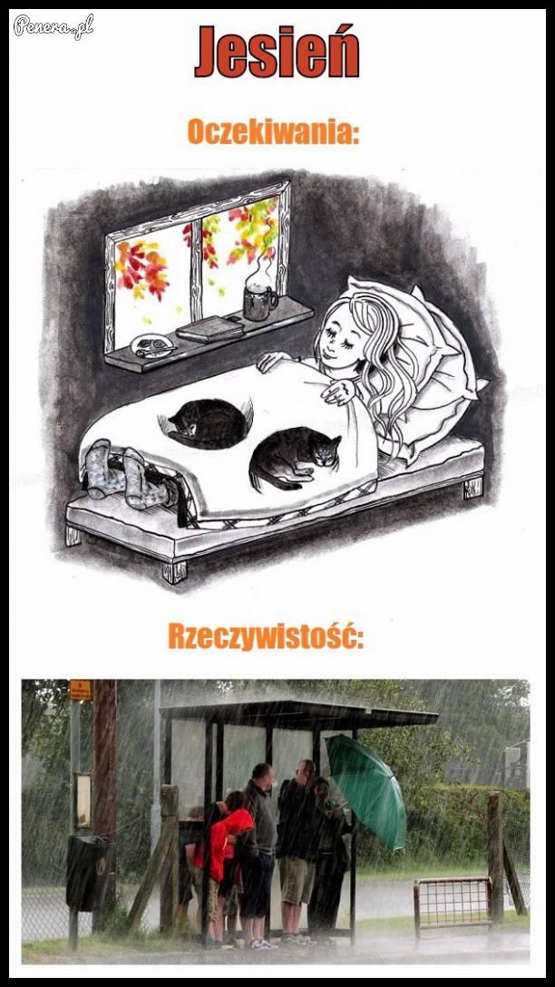 Jesień - oczekiwania kontra rzeczywistość