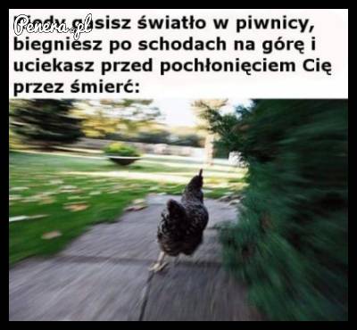 Kiedy gasisz światło w piwnicy i biegniesz po schodach do góry