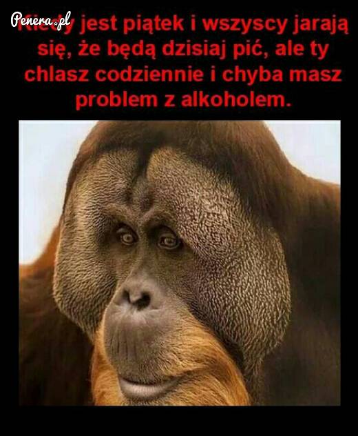 Kiedy jest piątek i wszyscy się, że będą dzisiaj chlać