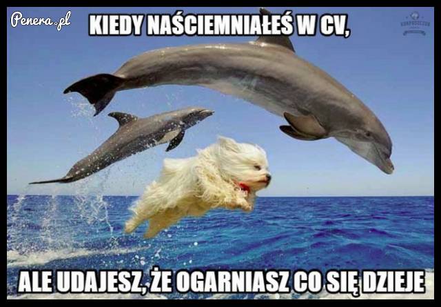 Kiedy naściemniasz w CV
