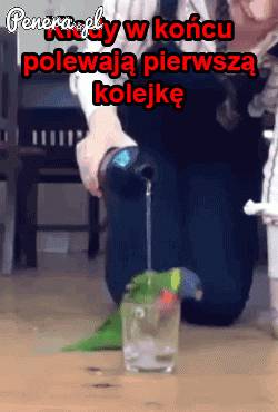 Kiedy w końcu poleją pierwszą kolejkę