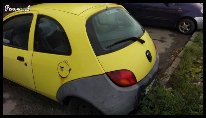 Ktoś nieźle to wymyślił z tym ptakiem