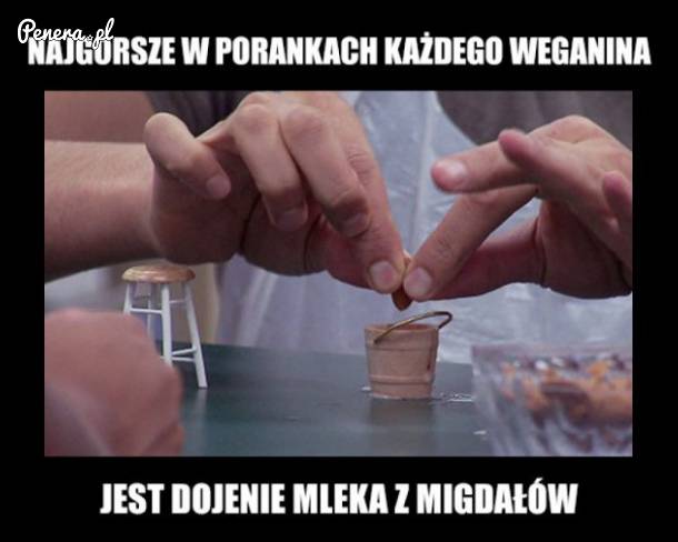 Najgorsze w porankach każdego weganina