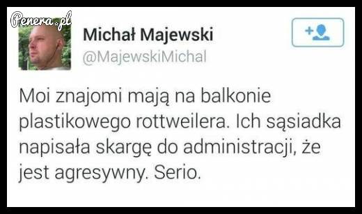 Nie ma to jak donos na sąsiada