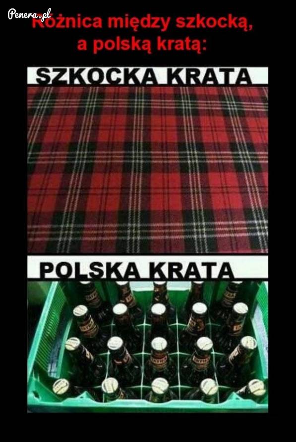Różnica między szkocką kratą a polską kratą