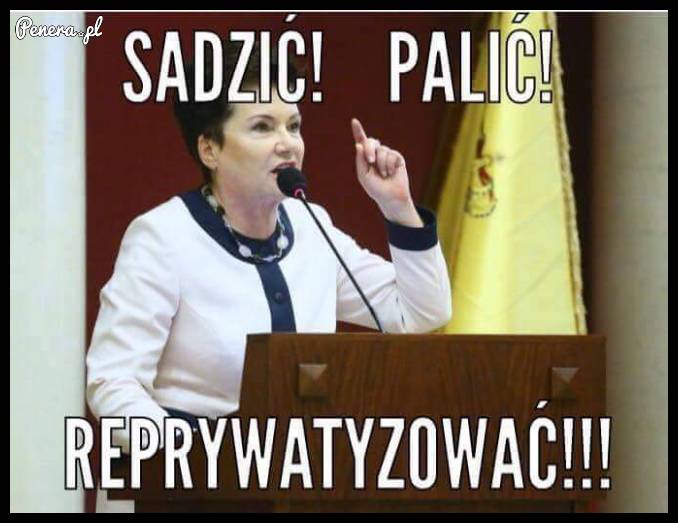 Sadzić! Palić! Reprywatyzować!