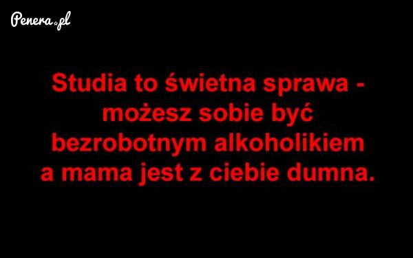 Studia to świetna sprawa