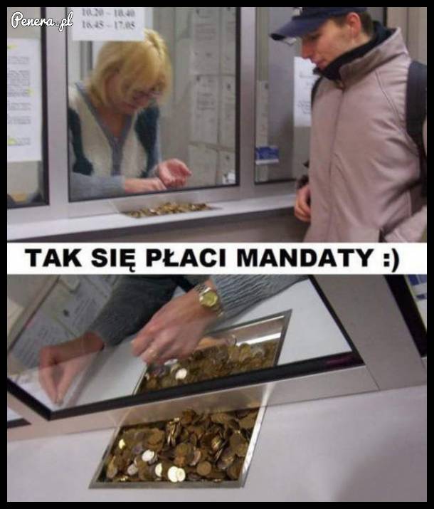 Tak się płaci mandaty