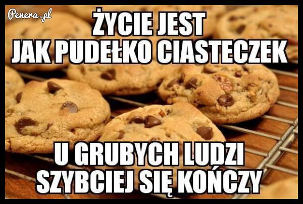 Życie jest jak pudełko ciastek!