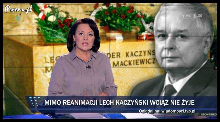 Ale ktoś grubo poleciał z tym memem