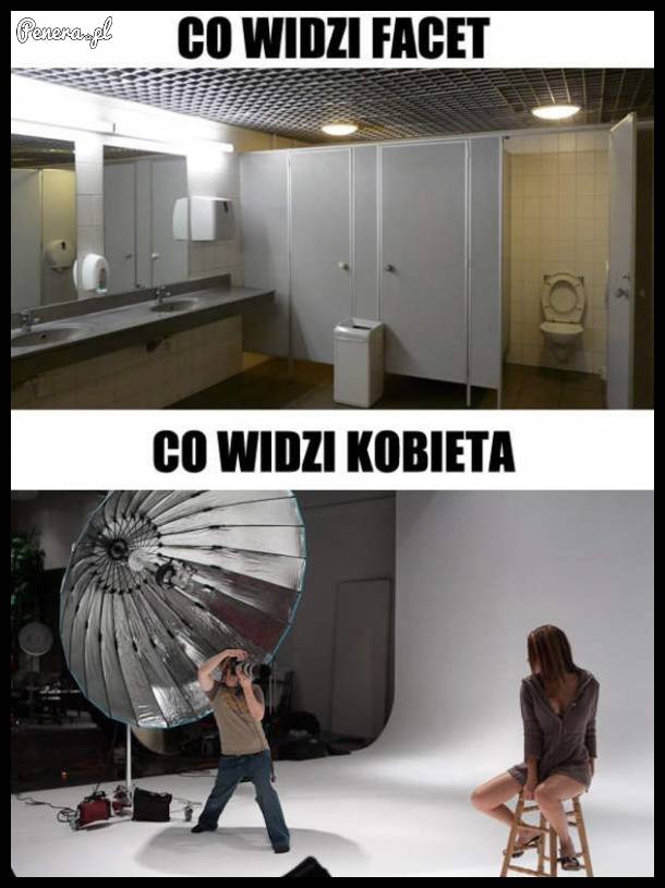 Co widzi facet w toalecie