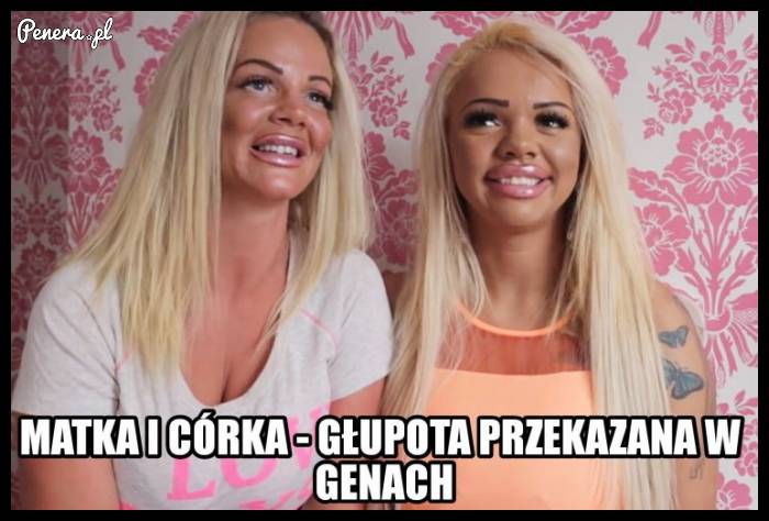 Czy to właśnie głupota przekazana w genach?