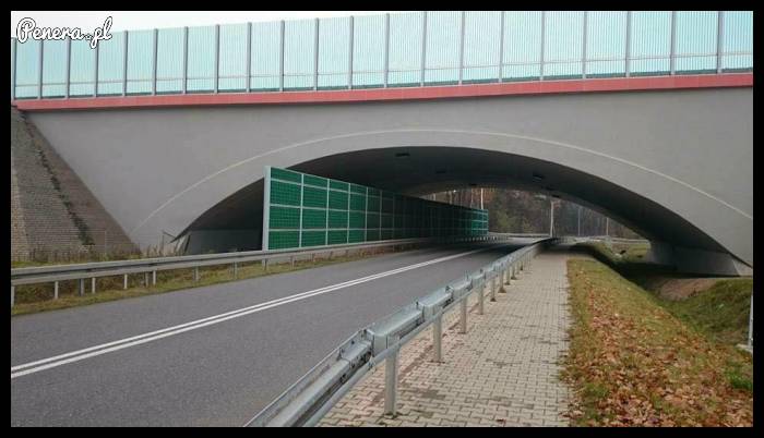 Ekran akustyczny pod wiaduktem