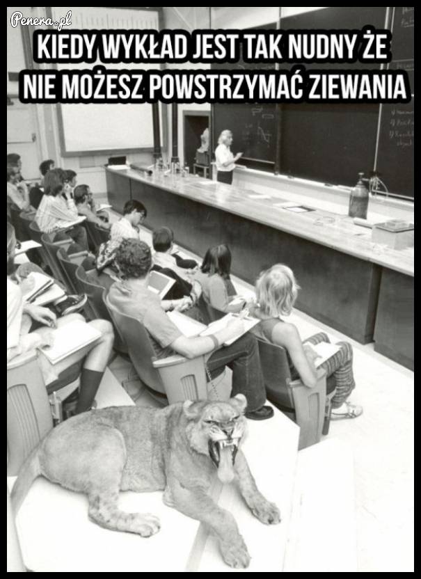 Gdy taka nuda na wykładzie