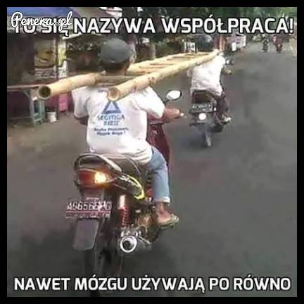 Jak przewieźć drabinę