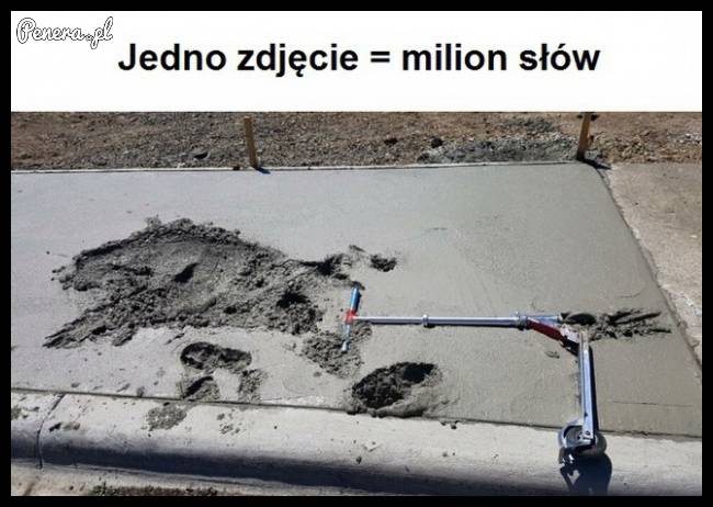 Jedno zdjęcie = milion słów