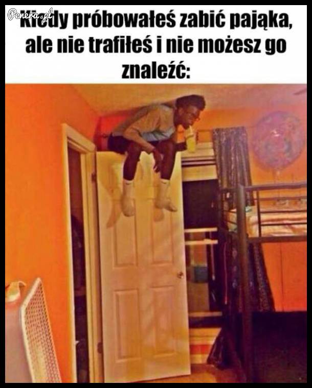 Kiedy próbowałeś zabić pająka ale nie trafiłeś