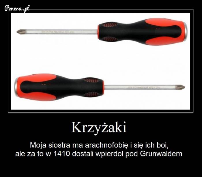 Kilka słów o krzyżakach