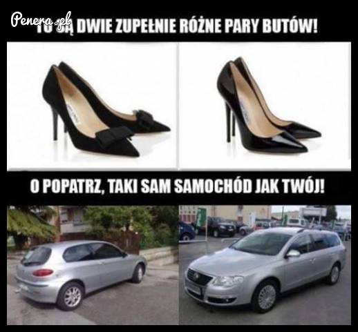 Kobieca logika kontra męska logika