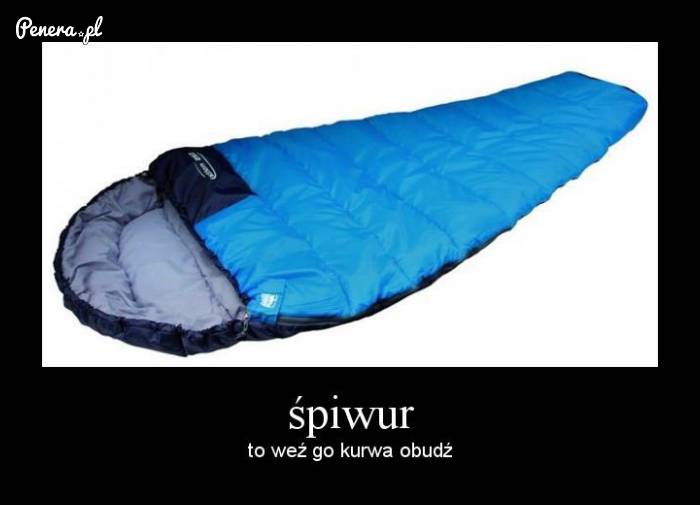 Niby zwykły śpiwur