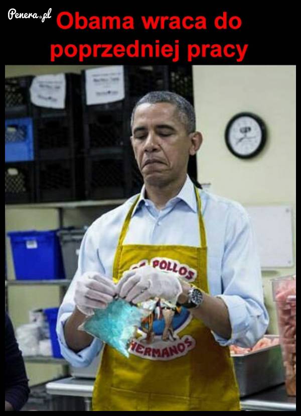 Obama powraca do poprzedniej pracy