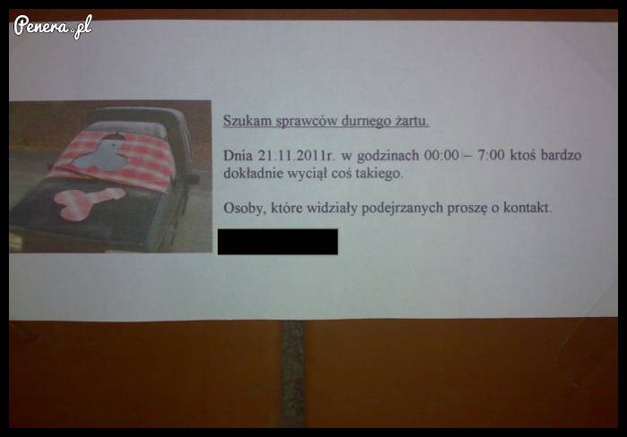 Piękny karniak za złe parkowanie