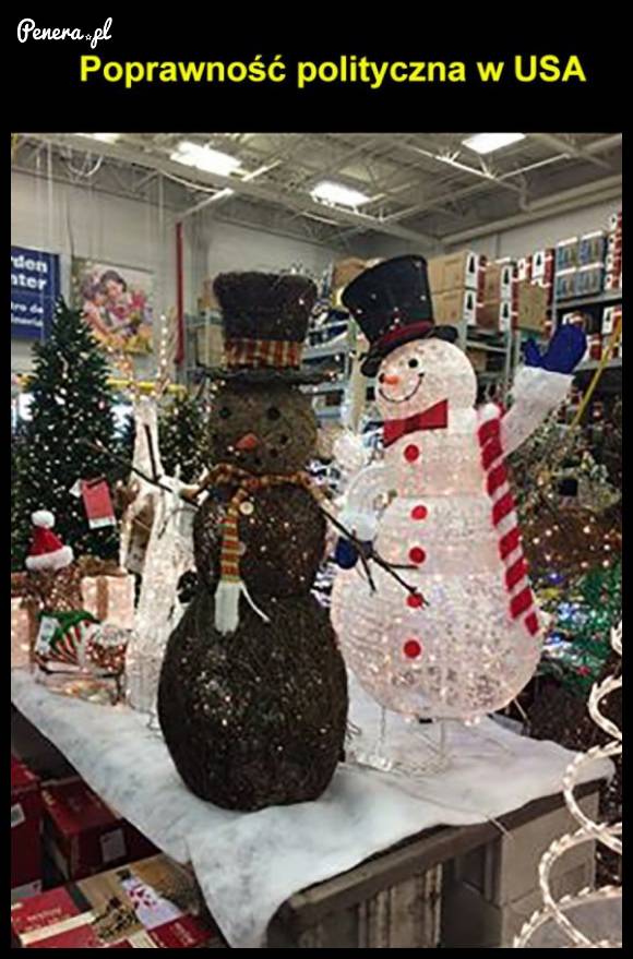 Poprawność polityczna w USA
