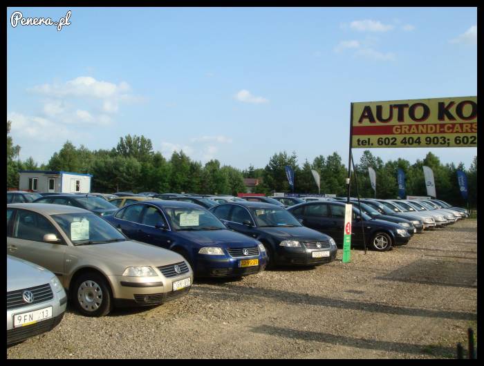 Raj przysłowiowego Janusza