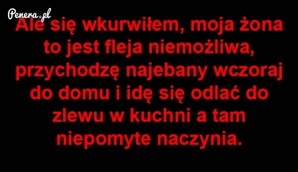 Straszna fleja ta moja żona