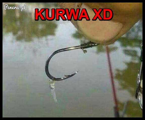 To się dopiero okaz trafił :D