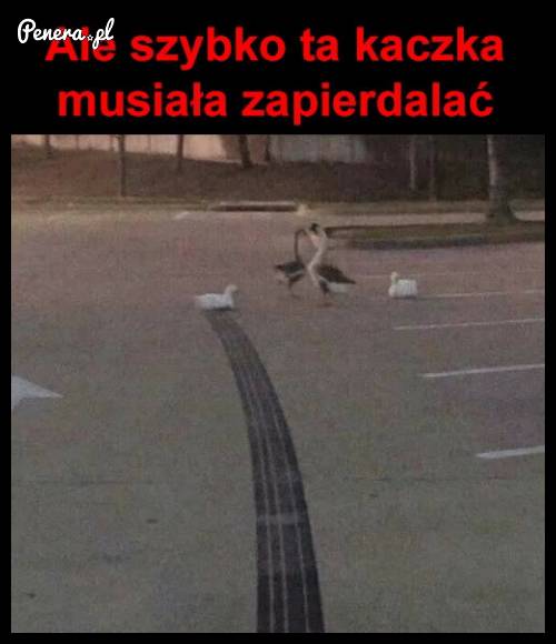 Turbo kaczka i jej hamowanie