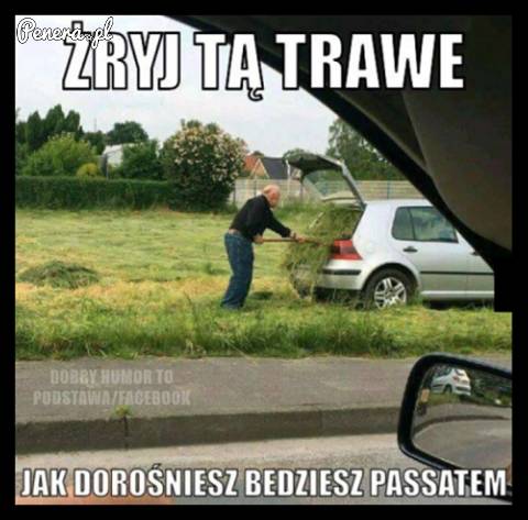 Żryj tę trawę