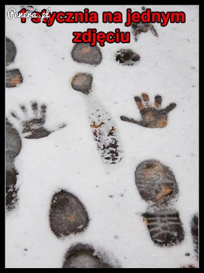 1 Stycznia na jednym zdjęciu :D