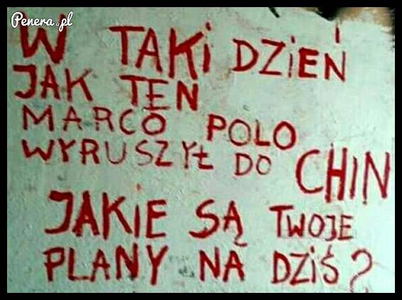 A Ty co będziesz robił?