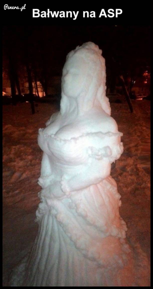 Bałwany na ASP