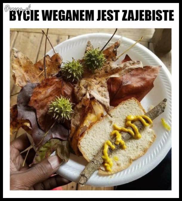 Bycie weganem jest za**biste