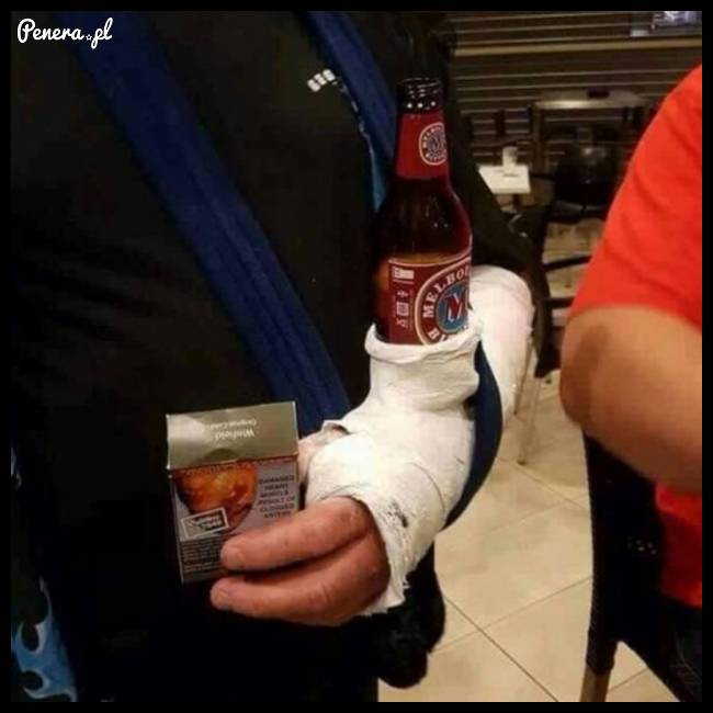 Gips z opcją browara