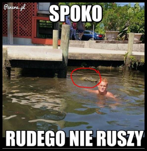 Jego na bank nie ruszy