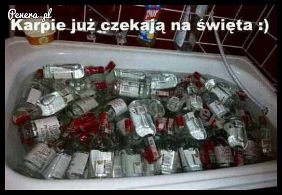 Karpie już czekają na święta