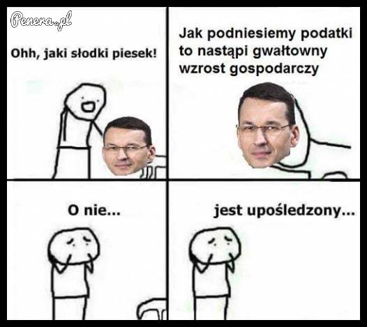 O jaki słodki piesek!