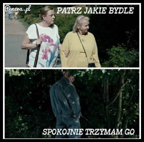 Patrz jakie bydle