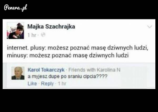 Plusy i minusy internetu