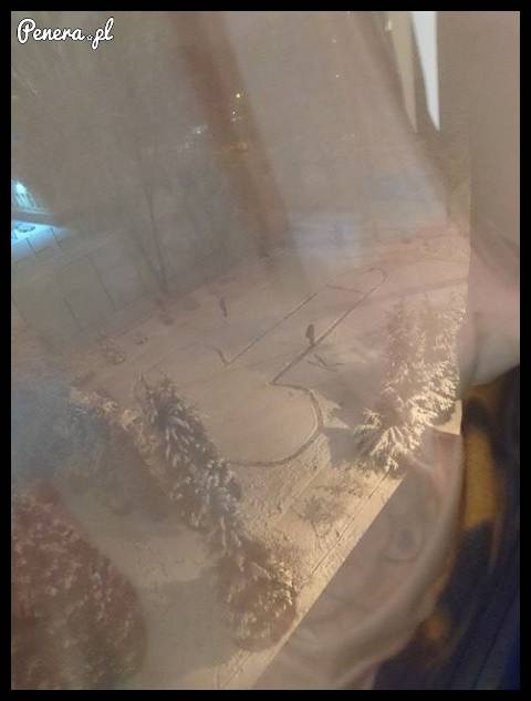 Poczuł pierwszy śnieg