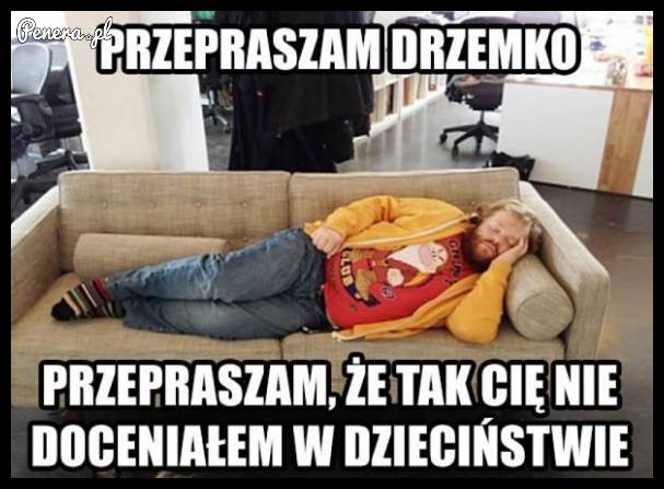 Przepraszam drzemko że Cie nie doceniałem