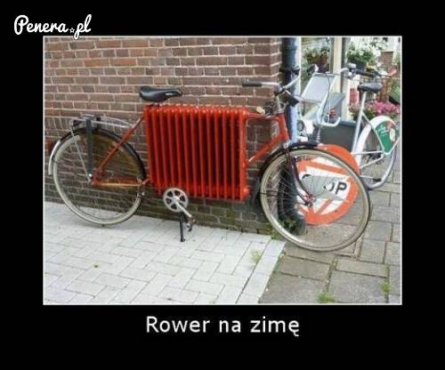 Rower na zimę