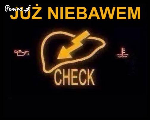 Sprawdź stan wątroby