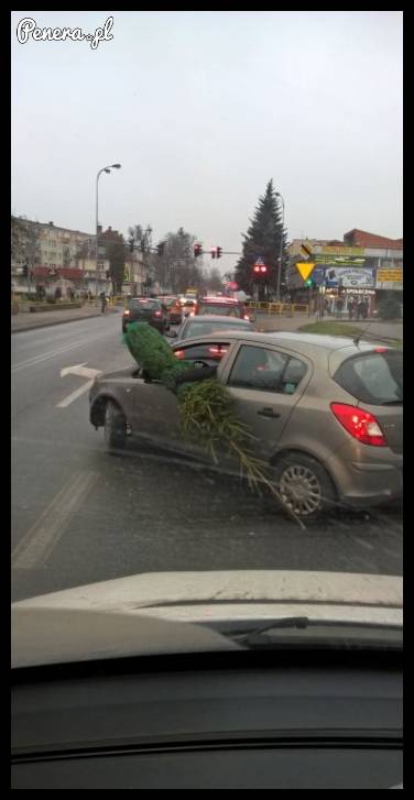 Trzeba sobie jakoś radzić na święta
