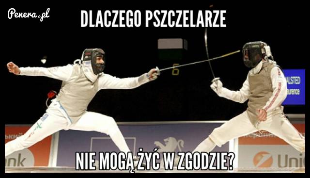 Dlaczego pszczelarze nie mogą żyć w zgodzie?