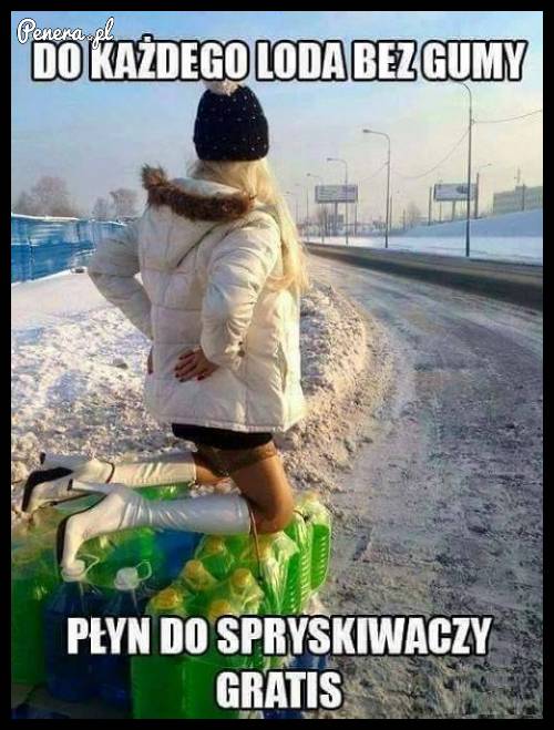 Do każdego loda bez gumki