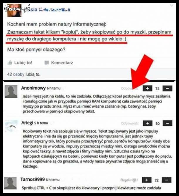 Jak kopiować tekst do myszy?